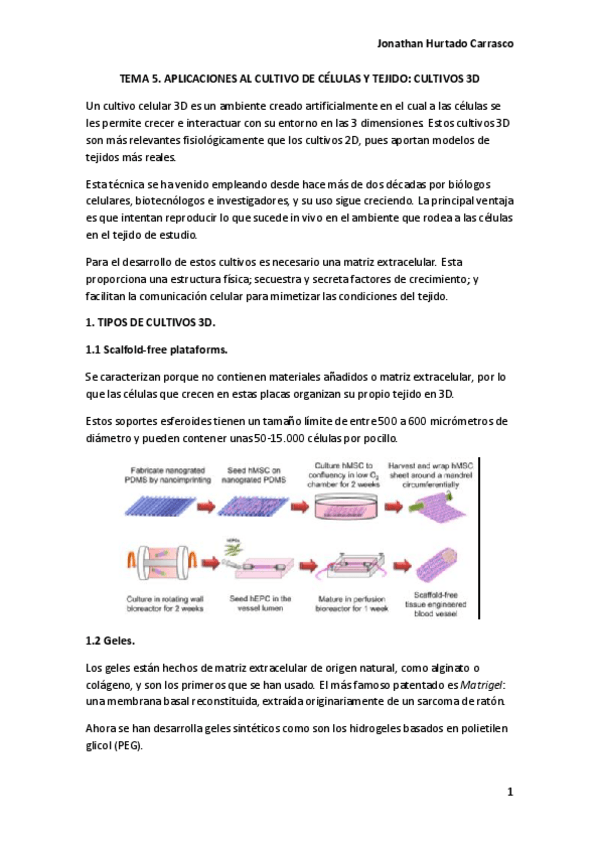 Miniatura del documento TEMA-5.pdf