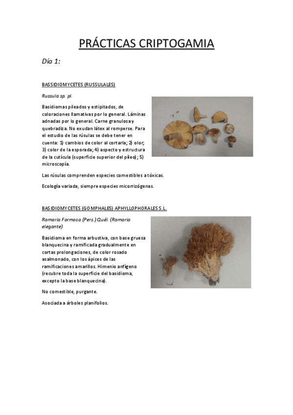 Miniatura del documento PRACTICAS-CRIPTOGAMIA.pdf