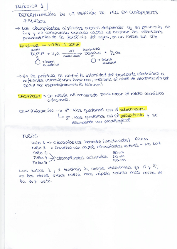 Miniatura del documento fisiologiavegetal.pdf