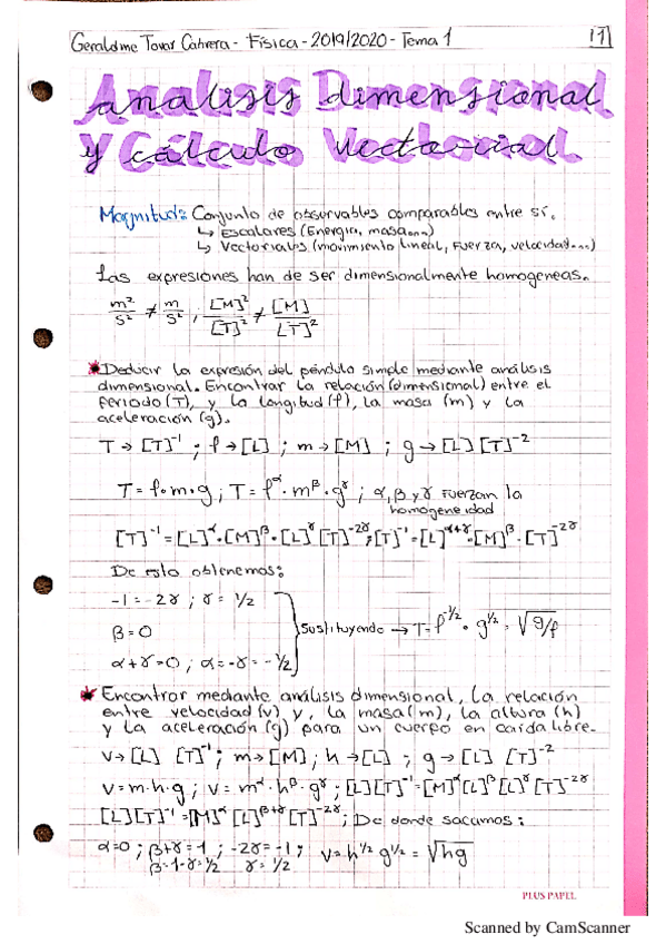 Miniatura del documento Fisica-Tema-1.pdf
