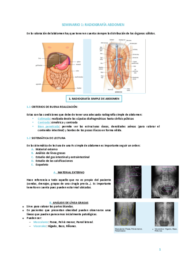 Miniatura del documento Seminario-Radiografia-abdomen.pdf