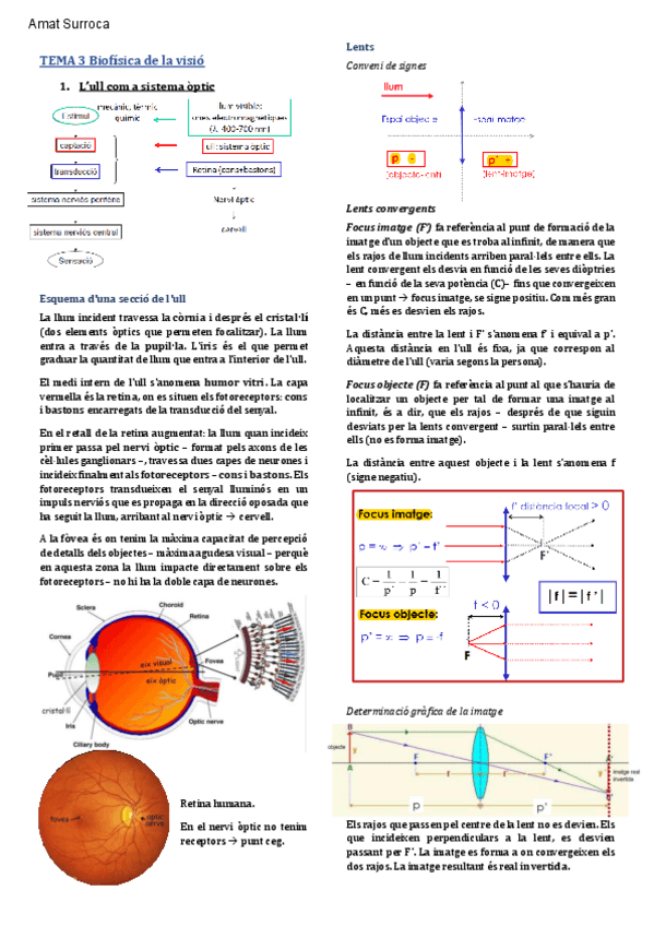 Miniatura del documento TEMA-3-BF-Visio.pdf
