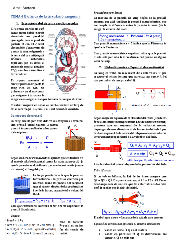 Miniatura del documento TEMA-4-BF-Circulacio-sanguinia.pdf