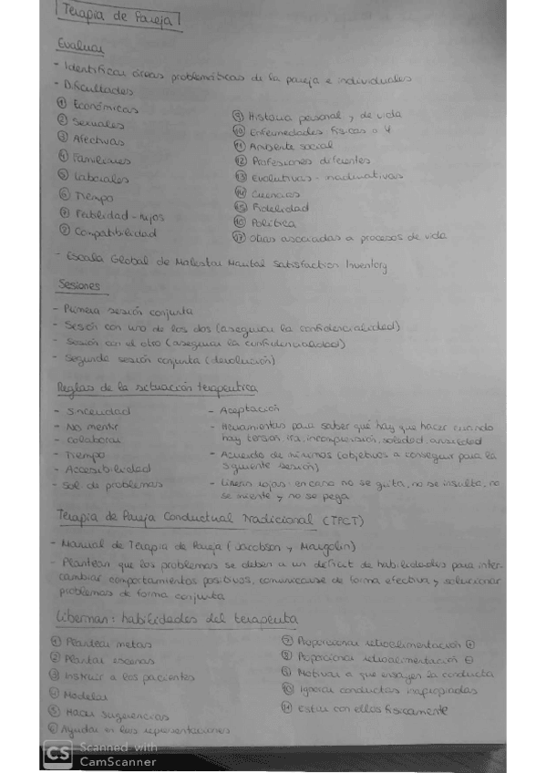 Miniatura del documento Terapia-de-pareja.pdf