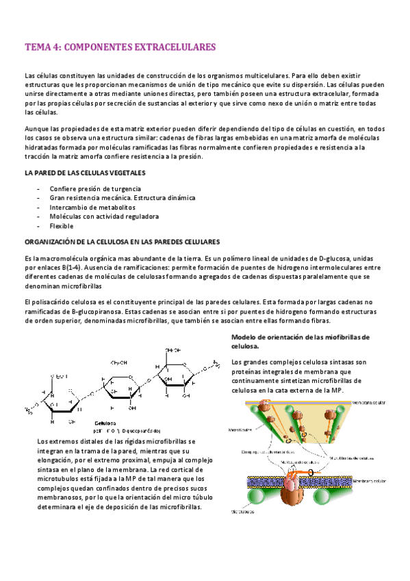 Miniatura del documento RESUMEN-TEMA-4.pdf
