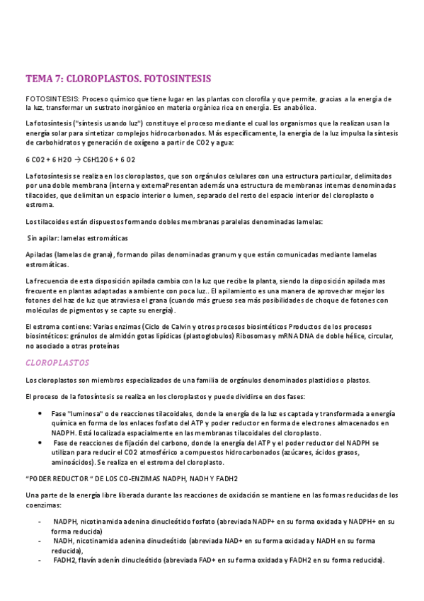 Miniatura del documento RESUMEN-TEMA-7.pdf