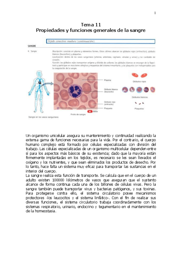 Miniatura del documento Tema-11-sangre.pdf