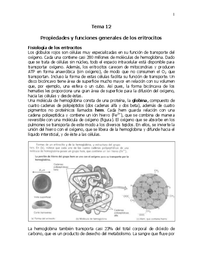 Miniatura del documento Tema-12-eritrocitos1.pdf