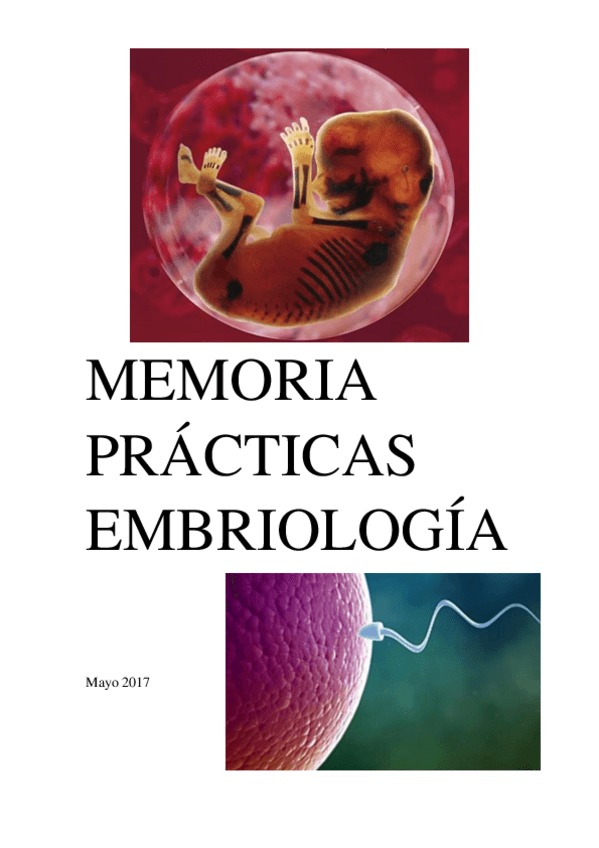 Miniatura del documento Memorias-practicas-Embriologia.pdf