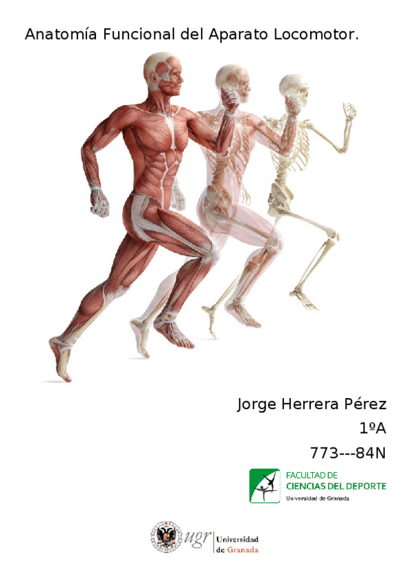 Miniatura del documento TRABAJO-DE-ANATOMIA.docx