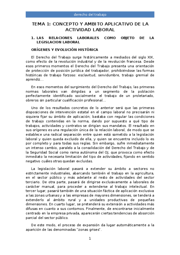 Miniatura del documento TEMA-1-completo.docx