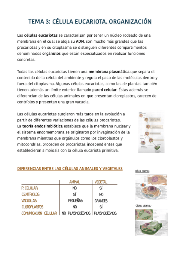 Miniatura del documento TEMA-3.pdf