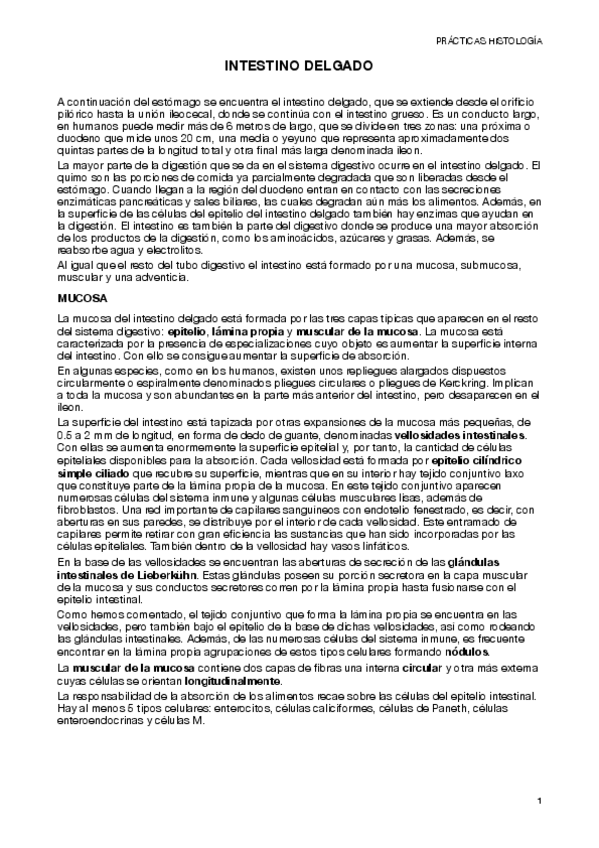 Miniatura del documento Teoria-Examen-de-Practicas-MUY-UTIL.pdf