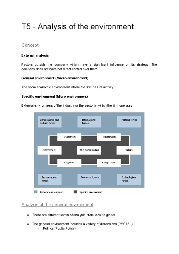 Miniatura del documento T5-Analysis-of-the-environment.pdf