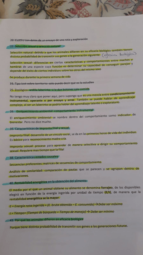 Miniatura del documento WhatsApp-Image-2018-09-26-at-15.jpg