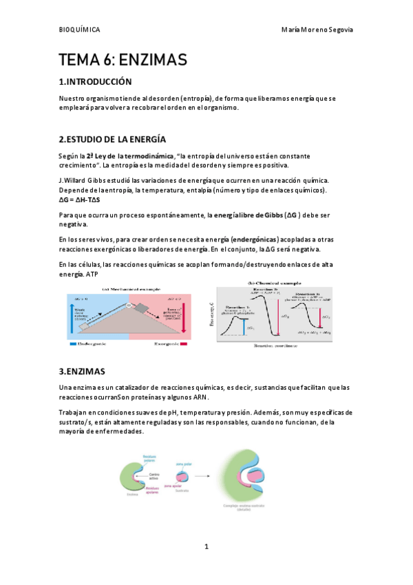 Miniatura del documento TEMA-6.pdf