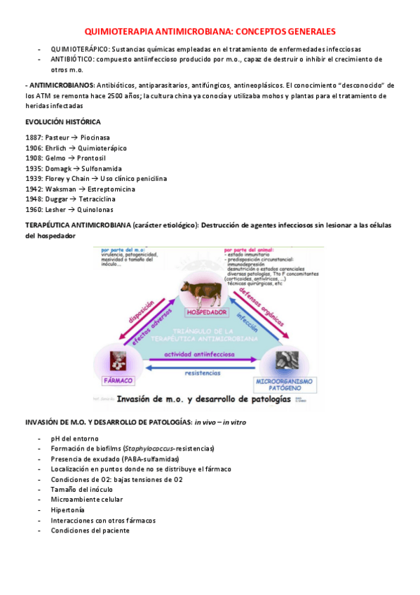 Miniatura del documento QUIMIOTERAPIA-ANTIMICROBIANA.pdf