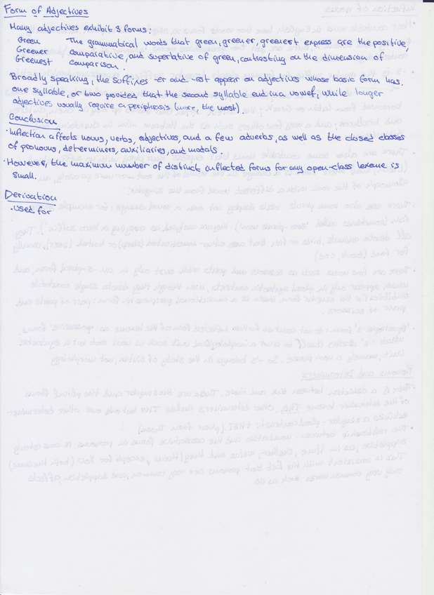 Miniatura del documento Imagen-8.jpg