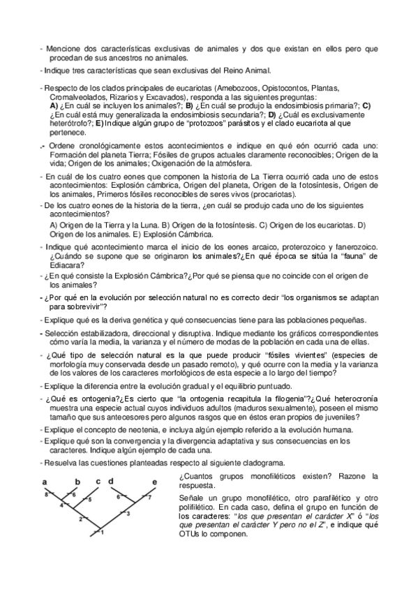 Miniatura del documento Preguntas exámen.pdf