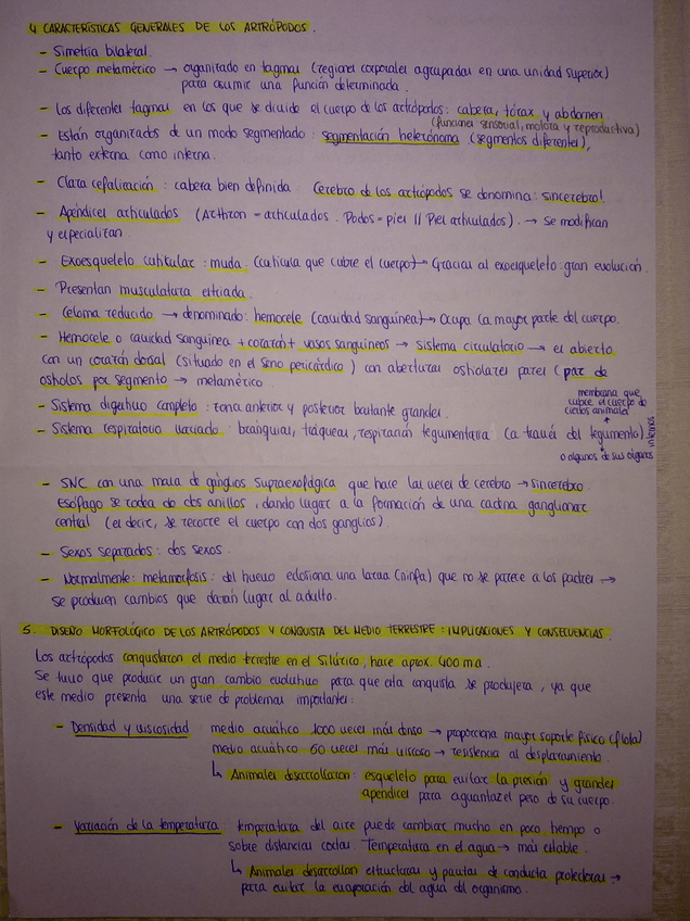 Miniatura del documento 050920123563.jpg