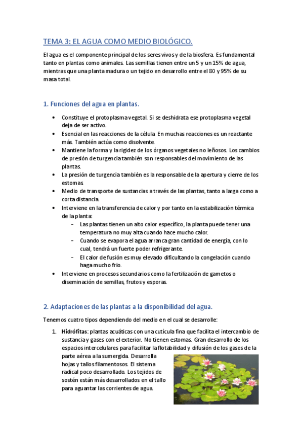 Miniatura del documento Tema-3-Fisiologia-vegetal.pdf