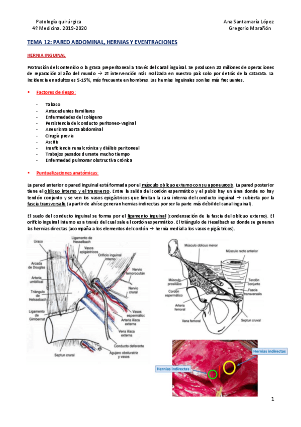 Miniatura del documento Tema-12-Pared-abdominal-hernias-y-eventraciones.pdf
