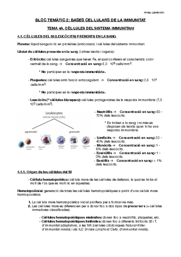 Miniatura del documento Apunts-Immunologia-Tema-4.pdf