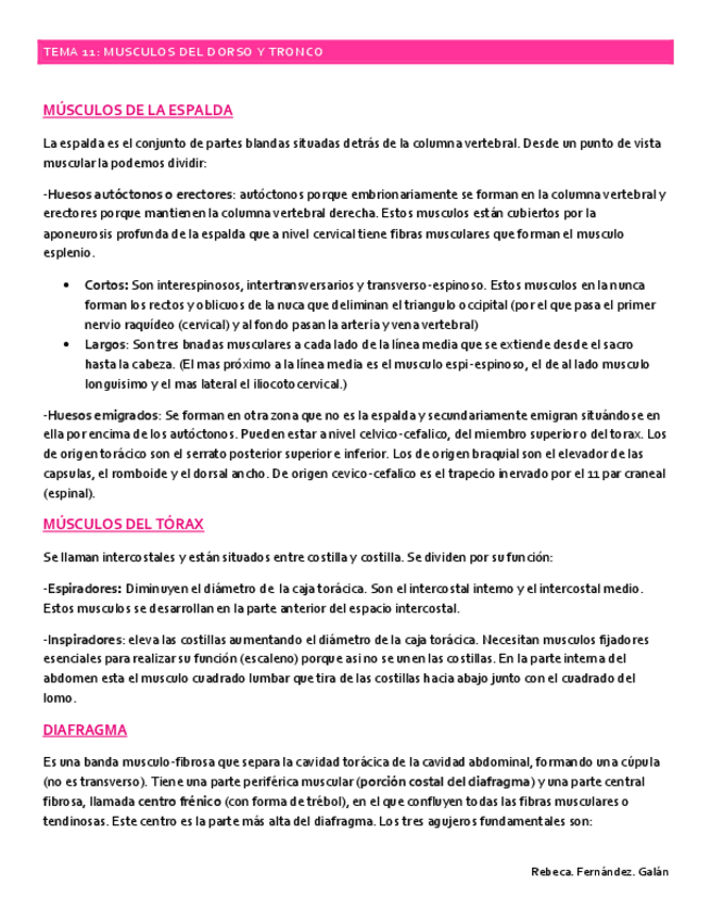 Miniatura del documento tema-11.pdf