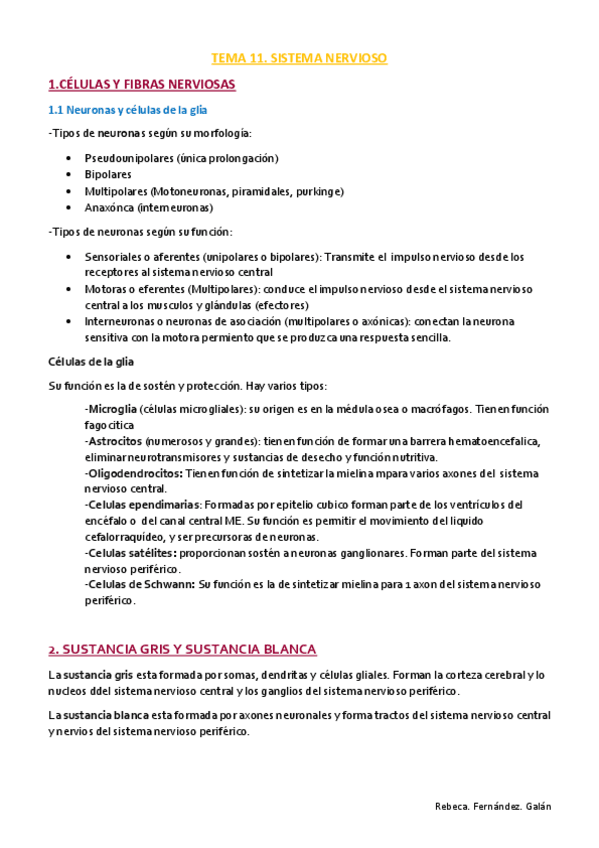 Miniatura del documento TEMA-11.pdf