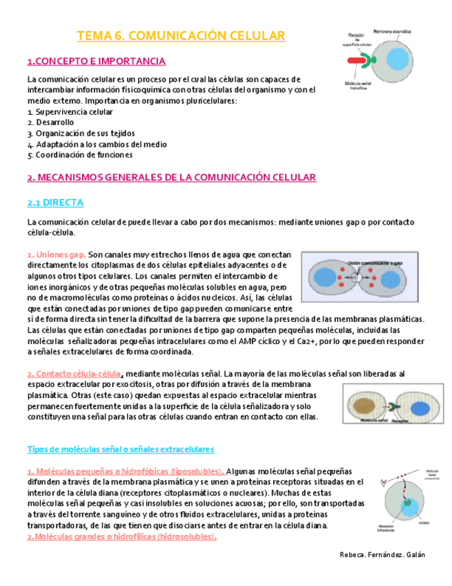 Miniatura del documento Tema-6.pdf