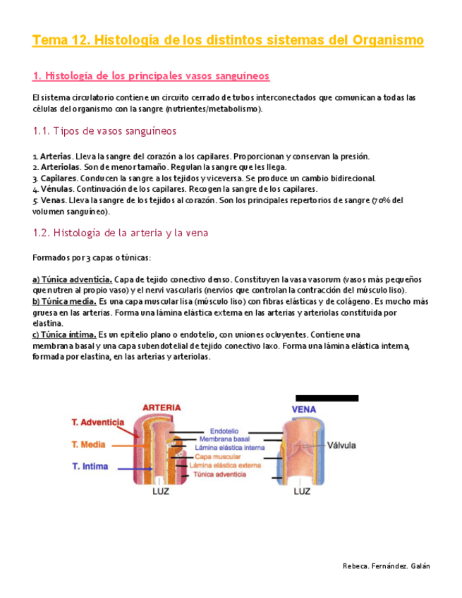 Miniatura del documento Tema-12.pdf