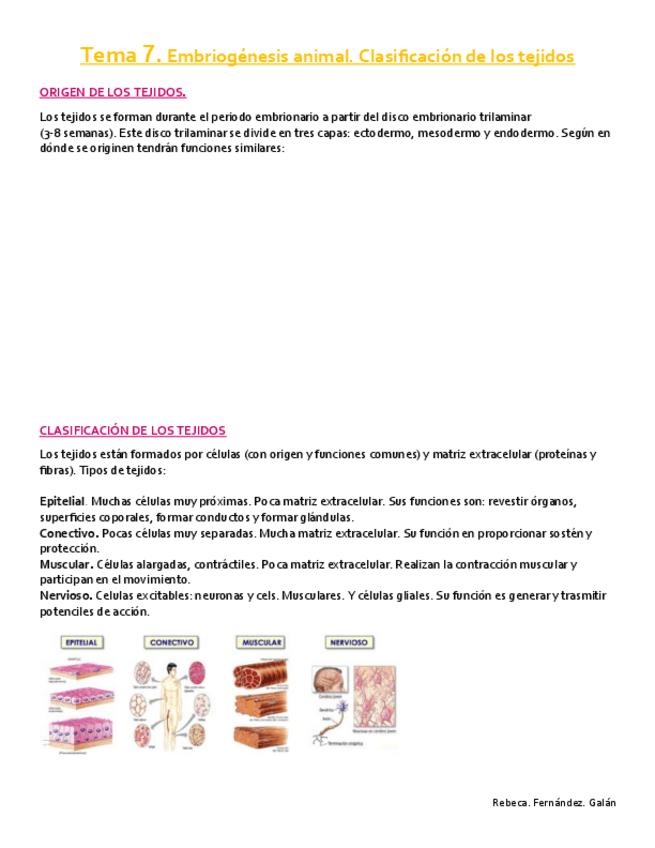 Miniatura del documento Tema-7.pdf