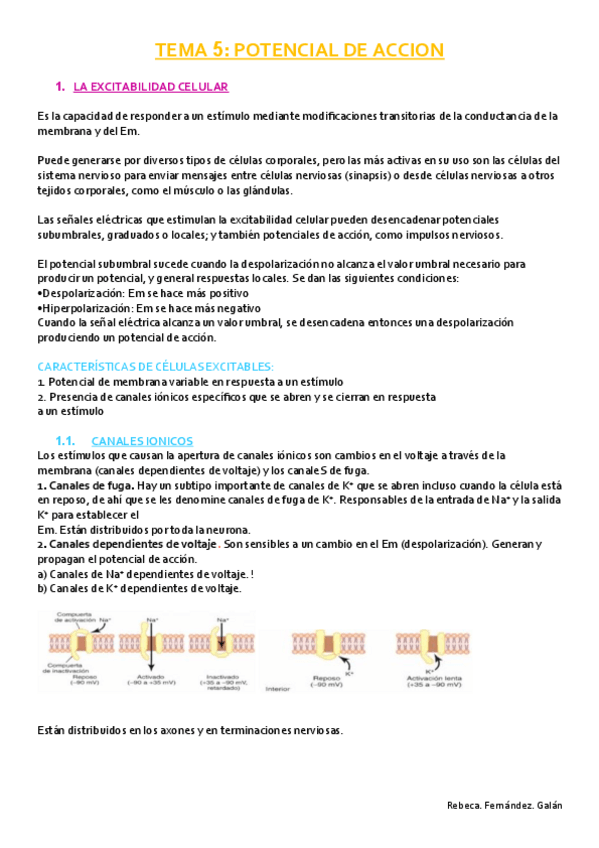 Miniatura del documento Tema-5.pdf