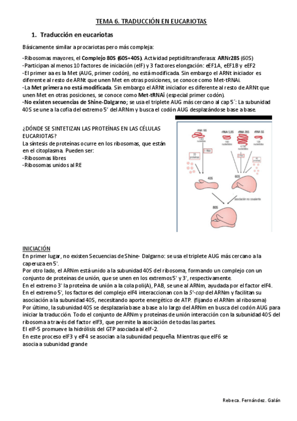 Miniatura del documento TEMA-6.pdf