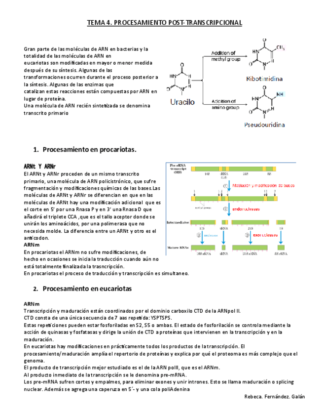 Miniatura del documento TEMA-4.pdf