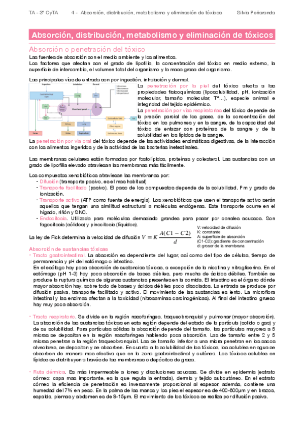 Miniatura del documento 4-Absorcion-distribucion-metabolismo-y-eliminacion-de-toxicos.pdf