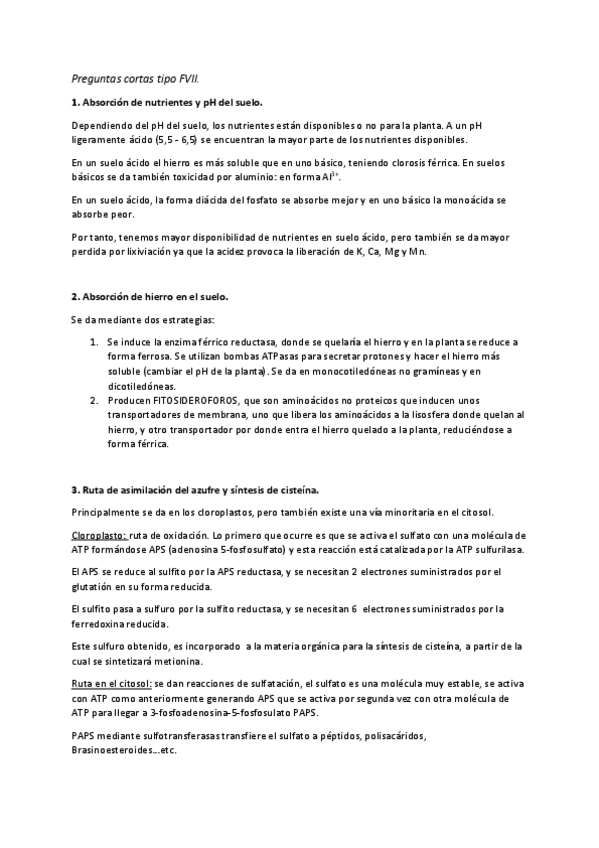 Miniatura del documento Preguntas cortas tipo FVII.pdf