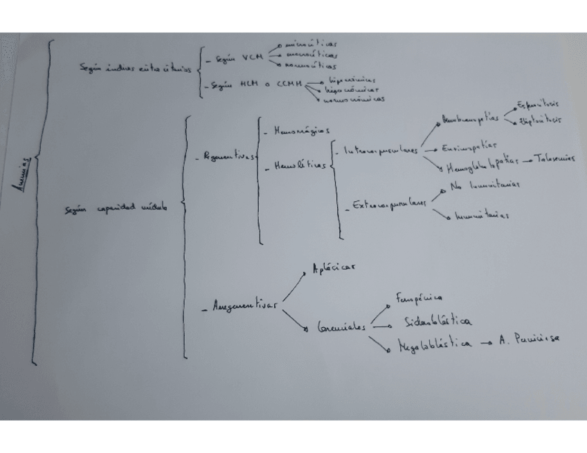Miniatura del documento 20191004151012.pdf