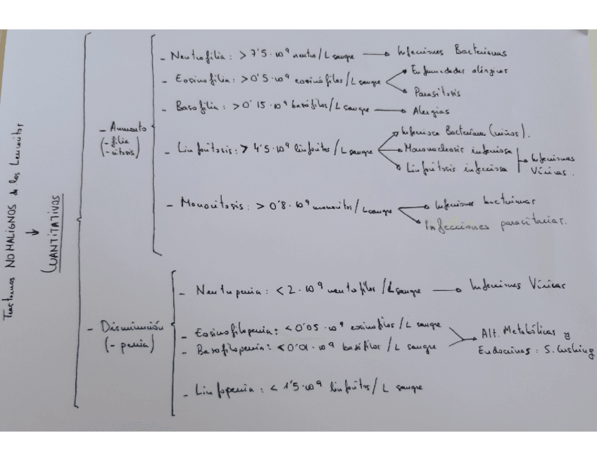 Miniatura del documento 20191004160016.pdf