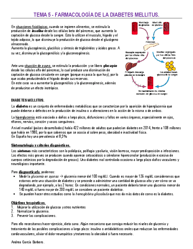 Miniatura del documento TEMA-5-FARMACOLOGIA-DE-LA-DIABETES-MELLITUS.pdf