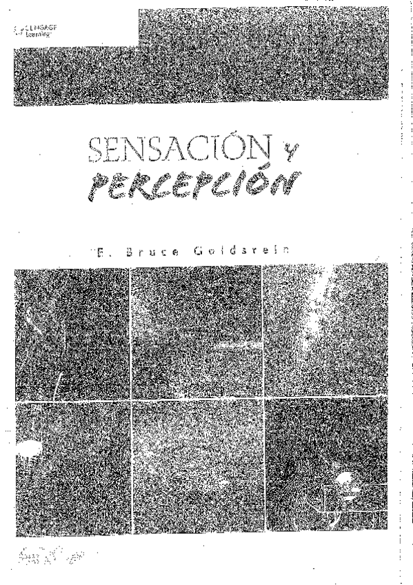 Miniatura del documento Libro-PyA.pdf