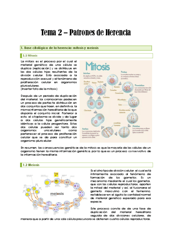 Miniatura del documento Tema-2-Patrones-de-herencia.pdf
