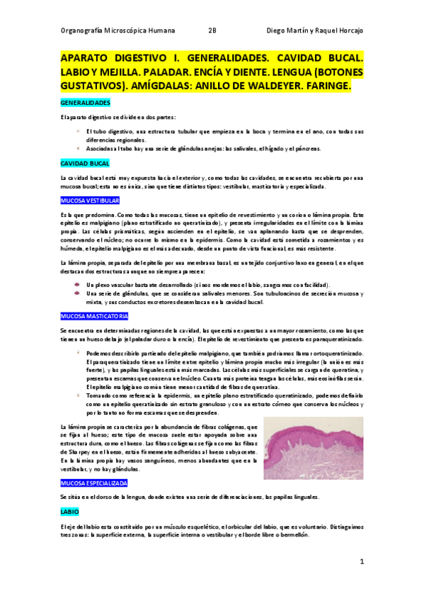 Miniatura del documento DIGESTIVO-I.pdf