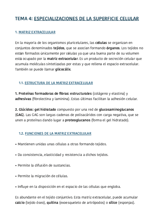 Miniatura del documento TEMA-4.pdf
