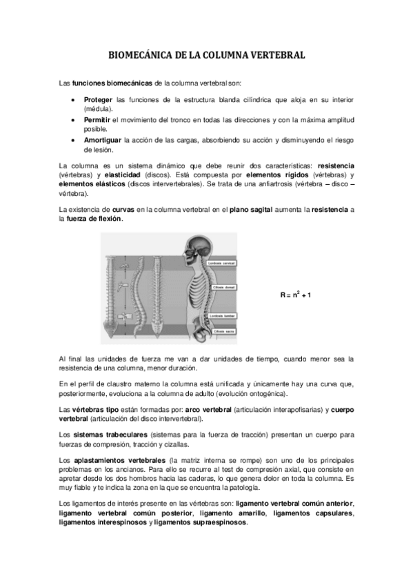 Miniatura del documento 16.pdf