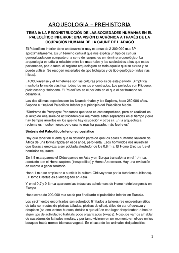 Miniatura del documento Prehistoria.docx