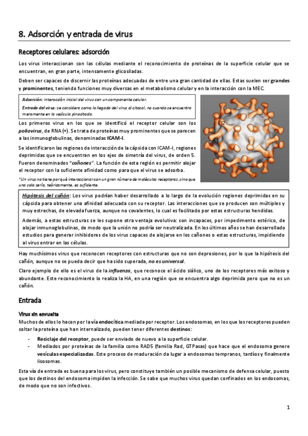 Miniatura del documento Virologia-Apuntes-2o-parcial.pdf