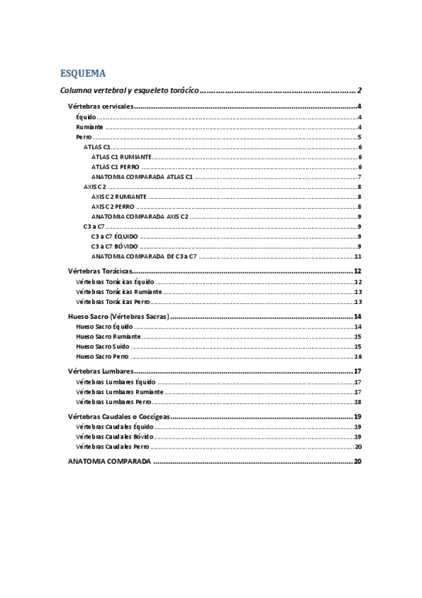 Miniatura del documento Columna-vertebral-y-esqueleto-toracico.pdf