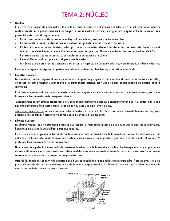 Miniatura del documento Tema-2.pdf