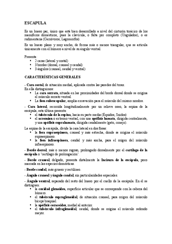 Miniatura del documento ESCAPULA-y-HUMERO.pdf